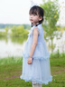 迪士尼冰雪艾莎公主裙女童連衣裙2025夏季新款兒童蛋糕蓬蓬裙禮服裙子 藍色 110 曬單實拍圖