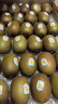 佳沛（zespri）新西蘭  陽光金奇異果25-27粒原箱特大果單果約122-146g  獼猴桃 曬單實拍圖