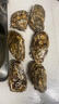 【半斤大】鮮活大冷水生蠔230-300g/個  曬單實拍圖
