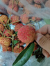 四叔公果蔬黑葉荔枝【順豐冷鏈-多地次日達】新鮮入庫水果凍眠中秋節(jié)禮盒 頭茬鮮選果｜單果15g+ 凈3斤（實惠嘗鮮）較劃算 曬單實拍圖