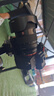 索尼/Sony A7 A7M3 A7R4 A7M2 A7R3 A7M4 全畫(huà)幅二手微單 4K直播相機(jī) 索尼A7M4 單機(jī) 99成新 曬單實(shí)拍圖