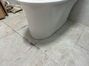 箭牌（ARROW）T51抽水馬桶虹吸坐便器普通座便坐廁 1級(jí)水效AE12617UM 305坑距 曬單實(shí)拍圖