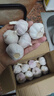 爆款精品紫皮蒜多瓣大蒜新鮮特價(jià)蒜頭干蒜單果4-5cm 精品大蒜2斤裝 曬單實(shí)拍圖