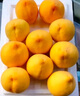 山姆伯伯山東蒙陰黃油桃子【JD閃送】黃金蜜毛桃新鮮水果脆甜桃子 A+級甄選果丨黃金產(chǎn)區(qū)【爆甜】 凈重4.5-5斤【巨劃算-85%選擇】 曬單實(shí)拍圖