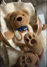 NOISY TEDDY嘻鬧泰迪2025新款雙肩包泰迪草莓酪甜甜圈潮流百搭日常通勤背包 米白色（贈泰迪熊掛件) 曬單實(shí)拍圖