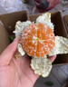 云南橘子蜜橘10斤新鮮蜜桔當季現(xiàn)摘早熟柑橘小青綠皮孕婦水果整箱 甄選3斤中果【50~55mm】 曬單實拍圖
