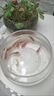 團(tuán)圓月圓形玻璃魚缸加厚透明玻璃烏龜缸客廳家用桌面圓形迷你小型金魚缸 30鼓缸裸缸 曬單實(shí)拍圖