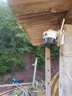 奧克斯4g太陽能攝像頭室外無電無網(wǎng)終身免費(fèi)流量免插電手機(jī)遠(yuǎn)程高清監(jiān)控器家用戶外360度無死角全景夜視 曬單實(shí)拍圖