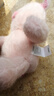 名創(chuàng)優(yōu)品（MINISO）福莉絲豬系列-乖乖坐姿公仔毛絨玩具玩偶抱枕娃娃生日禮物女 曬單實拍圖