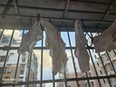 愛貝迪拉女童內(nèi)褲內(nèi)衣打底褲兒童女寶寶小女孩四角棉a類平角短褲兒童內(nèi)褲 【平角款】甜心公主 5條 130 碼建議6-8歲35-45斤 曬單實(shí)拍圖
