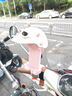 HAWEIWIND電動(dòng)車(chē)頭盔手機(jī)架電瓶車(chē)外賣(mài)遮陽(yáng)導(dǎo)航支架防震防雨自行車(chē)騎行支架 櫻花粉+粉頭盔【鏡座款】 曬單實(shí)拍圖