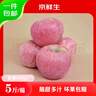 京鮮生 陜西洛川紅富士蘋(píng)果 凈重5斤 單果260g 新鮮水果 源頭直發(fā) 曬單實(shí)拍圖