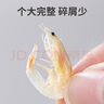 方家鋪子 中華老字號 六星大蝦皮120g 蝦米大號海米干 淡干不咸可打粉 曬單實拍圖