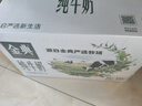 佳幫手海綿膠棉拖把38cm2頭家用一拖凈免手洗2025吸水洗拖地神器墩拖布 曬單實(shí)拍圖