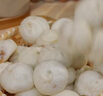 悅味紀(jì) 嵊州老面鮮肉小籠包1.6kg 約60只 手工包子 早餐半成品 速食 曬單實(shí)拍圖