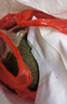 顧致茶籽餅茶枯餅壓榨茶仔餅洗頭洗碗茶麩洗發(fā)護發(fā)茶籽粉茶枯片 茶籽粉5斤 曬單實(shí)拍圖