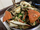 新鮮梭子蟹鮮活冷凍大螃蟹舟山海鮮水產(chǎn)野生梭子蟹活凍飛蟹白蟹 9兩以上/只 【5斤舟山梭子蟹】 曬單實拍圖
