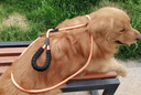 斯派科狗狗牽引繩小型犬背心式胸背帶中小型犬防掙脫透氣反光胸背式狗繩 紅色 S碼(胸圍44cm-54cm)建議8-18斤 曬單實(shí)拍圖