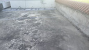 沃特浦防水涂料屋頂補漏王材料耐高溫防曬平房外墻樓頂防漏房頂漏水膠 【水泥色】買6斤送 6斤 送工具 曬單實拍圖