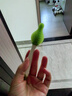 世喜嬰兒奶瓶刷硅膠奶嘴刷洗奶瓶清洗刷吸管刷子便攜杯刷3件套裝 曬單實(shí)拍圖
