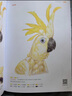 少兒彩鉛基礎(chǔ)入門（4冊全套）花卉動物玩具美食篇幼兒童實用零基礎(chǔ)畫畫教材美術(shù)課教程書籍 視頻同步教學 楊建飛 曬單實拍圖
