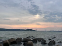香水檸檬新鮮水果海南無籽青檸檬水果奶茶店專用 海南香水檸檬帶箱1斤單果60g起 曬單實拍圖