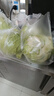 槿饈球生菜18斤裝沙拉漢堡煎餅新鮮現(xiàn)采蔬菜沙拉食材輕食球形圓西生菜 10斤裝 曬單實(shí)拍圖