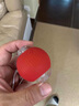智宙捕獵罩逗貓玩具自嗨解悶神器貓咪豐容玩具體力消耗自動逗貓球用品 跳跳球+白色錢幣蛇捕獵罩 牛津布 耐抓咬材質(zhì)【激發(fā)貓咪捕獵天性】 曬單實(shí)拍圖