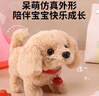 MKBIBI兒童玩具狗狗走路會(huì)叫搖尾巴仿真毛絨電動(dòng)小狗生日禮物 曬單實(shí)拍圖