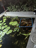 森森（SUNSUN）魚(yú)池噴泉泵潛水泵小型噴泉水泵魚(yú)池造景噴泉景觀抽水泵循環(huán)增氧 XQP-1500P噴泉泵23W帶3種噴頭 曬單實(shí)拍圖