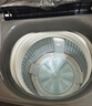 海爾（Haier）波輪洗衣機小型全自動懶人家用【XQB80-Z10D0】家電國家補貼20%以舊換新一級能效宿舍出租房單脫水 曬單實拍圖