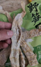 【產(chǎn)地直采】甘肅民勤戈壁金紅寶蜜瓜單粒1.5kg 曬單實(shí)拍圖