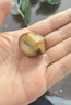 百草味熟制板栗仁50gx4包 堅(jiān)果炒貨板栗子仁即食甘栗仁休閑零食 曬單實(shí)拍圖