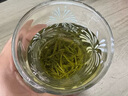 樂品樂茶茉莉花茶特級綠茶茶葉川派濃香型2025新茶春茶250g橫縣飄雪冷泡茶 曬單實拍圖