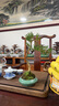 潮裕盆景黃楊盆景精品矮霸老樁造型真樹室內(nèi)花卉綠植盆栽客廳陽臺玄關(guān)擺件 精品黃楊盆景1 帶盆栽好 曬單實拍圖
