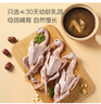 One's Member 富硒乳鴿 900g/3只新鮮冷凍有機(jī)硒原糧喂養(yǎng)烤乳鴿子燉湯食材 曬單實(shí)拍圖