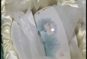 華光抗菌骨瓷餐具高溫釉中彩碗盤 中式國風喬遷之喜結(jié)婚禮物 春江水暖 抗菌瓷禮盒裝 30頭 曬單實拍圖