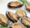 江船長 冷凍鮑魚 凈重160g(18-22粒)袋裝 火鍋燒烤食材 海鮮生鮮 曬單實拍圖