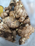 產(chǎn)地直發(fā)云南小黃姜新鮮生姜黃姜調(diào)味料新鮮蔬菜生鮮 3斤 裝 曬單實(shí)拍圖