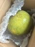京鮮生 翡翠青柚 紅心柚 1粒裝 單果1.5斤起 生鮮水果 曬單實(shí)拍圖