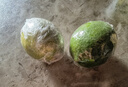 正宗無籽廣東香水檸檬新鮮當季商用一級果應(yīng)當季水果奶茶店專用 海南香水檸檬凈重225g+約2-5個 50-90g 中果 曬單實拍圖