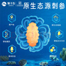 獐子島 大連有機(jī)淡干海參258g78-100頭 遼刺參海鮮水產(chǎn)南北干貨送禮禮盒 曬單實拍圖