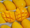 海南小臺芒芒果大果新鮮小臺芒當(dāng)季特產(chǎn)水果現(xiàn)摘芒果大果水果禮盒 小臺芒3斤 曬單實(shí)拍圖