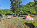Naturehike挪客羽骨二合一海綿充氣枕戶外露營午睡易收納自動便攜式旅行枕頭 香檳棕/標(biāo)碼 曬單實拍圖