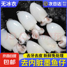 新漁姐冷凍生鮮新鮮章魚(yú)仔花枝烏賊墨魚(yú)三去目魚(yú)仔小墨魚(yú)仔(無(wú)冰) 三去墨魚(yú)仔(無(wú)冰) 1斤(凈重) 曬單實(shí)拍圖