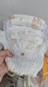 MOONY蘇菲尤妮佳Q薄萌羽慕怡小羊駝拉拉褲XXL26片(15kg及以上) 曬單實拍圖