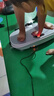 曼迪卡威（Mdikawe）抖抖機(jī)甩脂機(jī)減肥器材律動(dòng)機(jī)懶人全身燃脂瘦肚子神器體重管理計(jì)劃 曬單實(shí)拍圖