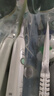 飛利浦（PHILIPS）原裝適配電動(dòng)牙刷頭HX9021/9023適配鉆三HX6730HX6761HX6806HX3226HX6721HX5181HX5161 3支 【牙菌斑潔凈】 曬單實(shí)拍圖