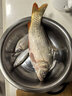 神鯊湖庫王4.5米魚竿超輕超硬碳素釣魚竿手竿臺釣竿鯉魚桿鯽魚竿漁具 曬單實(shí)拍圖