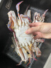 新鮮梭子蟹鮮活冷凍大螃蟹舟山海鮮水產(chǎn)野生梭子蟹活凍飛蟹白蟹 5-7兩/只 【4斤舟山梭子蟹】 曬單實拍圖